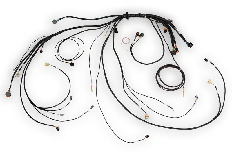HALTECH Nexus Rebel LS Terminated Harness for Nexus Rebel LS ECU - HT-186500