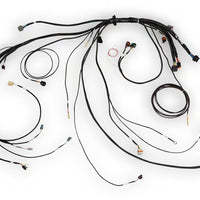 HALTECH Nexus Rebel LS Terminated Harness for Nexus Rebel LS ECU - HT-186500