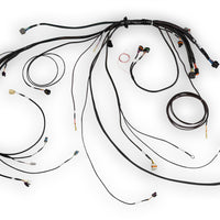 HALTECH Nexus Rebel LS Terminated Harness for Nexus Rebel LS ECU - HT-186500