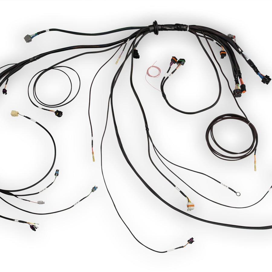 HALTECH Nexus Rebel LS Terminated Harness for Nexus Rebel LS ECU - HT-186500