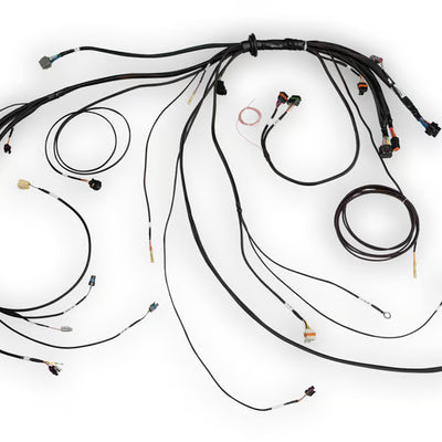 HALTECH Nexus Rebel LS Terminated Harness for Nexus Rebel LS ECU - HT-186500