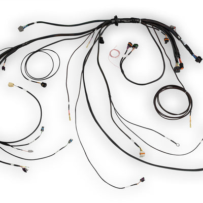HALTECH Nexus Rebel LS Terminated Harness for Nexus Rebel LS ECU - HT-186500