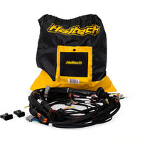 HALTECH Nexus Rebel LS Terminated Harness for Nexus Rebel LS ECU - HT-186500