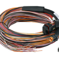 HALTECH PD16 Flying Lead Harness - 5M - HT-188000
