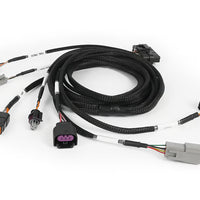 Haltech Nexus Plug-in DBW Expansion Harness 2.5m (8') HT-189003