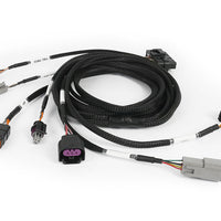 Haltech Nexus Plug-in DBW Expansion Harness 2.5m (8') HT-189003