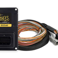 Haltech Nexus IO16 Input/Output Expander with Universal Wire in Harness 2.6M (8.5') HT-196200