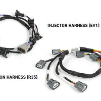 Haltech NEXUS Rebel JZ HT-220205