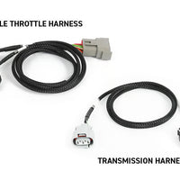 Haltech NEXUS Rebel JZ HT-220205