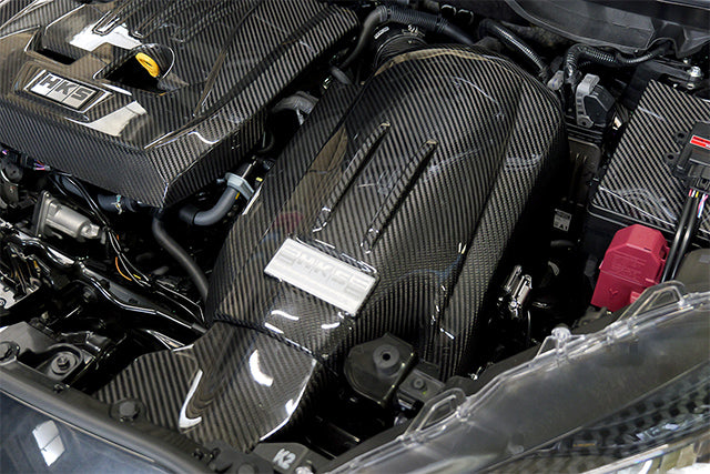 HKS CARBON AIR INTAKE FULL KIT GR4 YARIS G16 70026-AT020