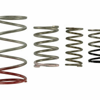 Turbosmart GenV IWG Spring Replacement Kit