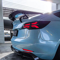 Tesla Model 3 Carbon Fiber AT-S Swan Neck Wing 2019-2023