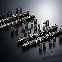 HKS CAMSHAFT + VALVE SPRING SET For GT-R VR38DETT R35 NISSAN 22002-AN038