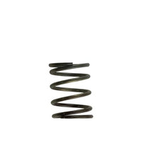 Turbosmart Gen4 WG38/40/45/50L and IWG75 Replacement Wastegate Spring