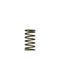 Turbosmart GenV WG60 Replacement Wastegate Spring