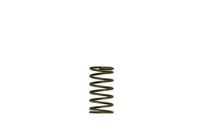 Turbosmart GenV WG60 Replacement Wastegate Spring
