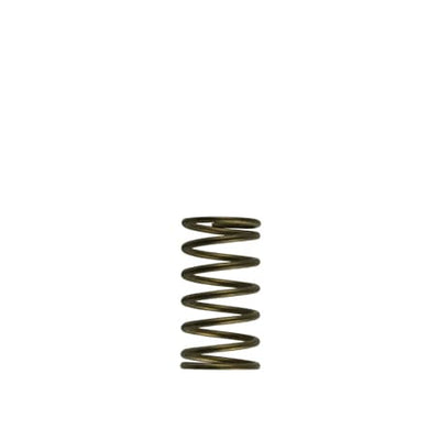 Turbosmart GenV WG60 Replacement Wastegate Spring