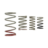 Turbosmart GenV IWG Spring Replacement Kit