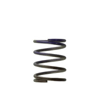 Turbosmart Gen4 WG38/40/45/50L and IWG75 Replacement Wastegate Spring