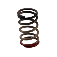 Turbosmart GenV WG HP 40psi Spring (Black/Red)