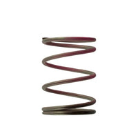 Turbosmart Gen4 WG38/40/45/50L and IWG75 Replacement Wastegate Spring