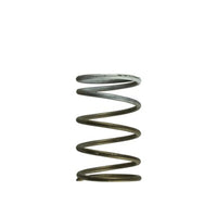 Turbosmart GenV WG60 Replacement Wastegate Spring