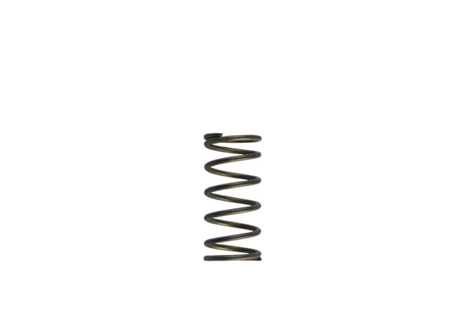 Turbosmart GenV WG60 Replacement Wastegate Spring