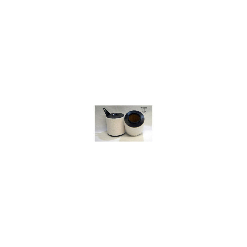 Wesfil AIR FILTER A1562 BMW - WA5212