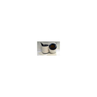 Wesfil AIR FILTER A1562 BMW - WA5212