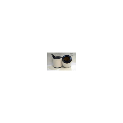 Wesfil AIR FILTER A1562 BMW - WA5212