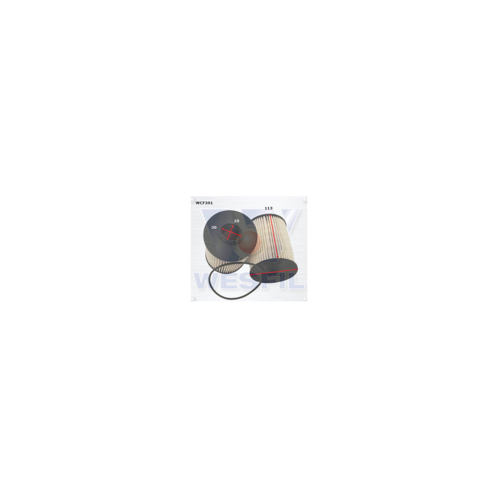Wesfil DIESEL FUEL FILTER R2809P FOTON - WCF301