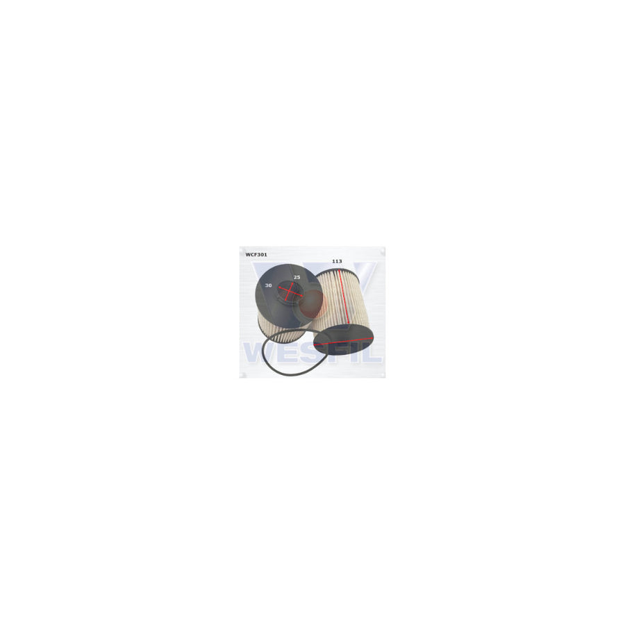 Wesfil DIESEL FUEL FILTER R2809P FOTON - WCF301