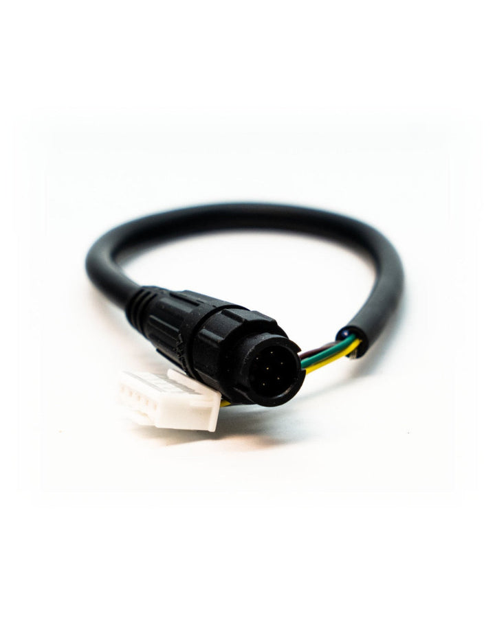 LINK CAN TO JST CONNECTOR 200MM
