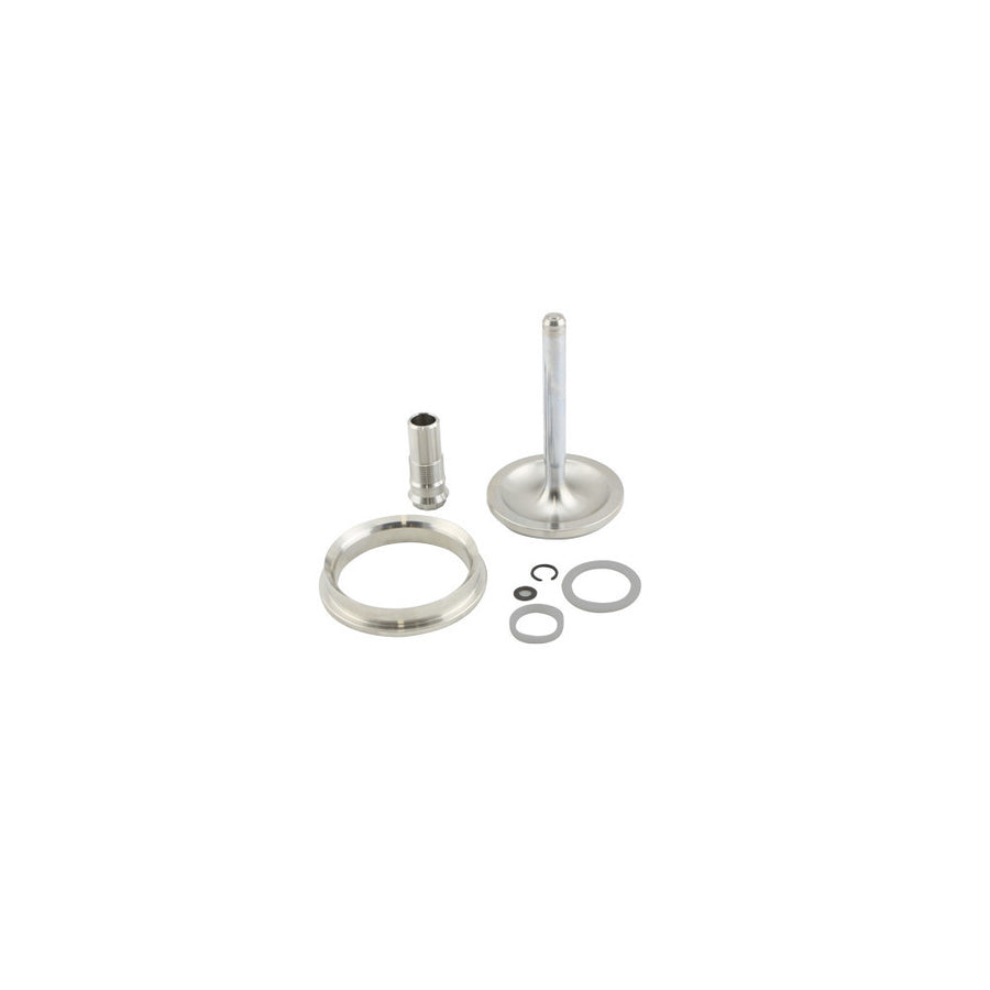 Turbosmart GenV WG60 Valve & Guide Set - TS-0555-3002