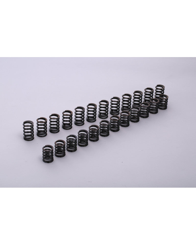 TOMEI VALVE SPRING R33 RB25DE(T) A-TYPE