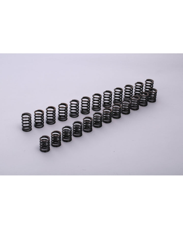 TOMEI VALVE SPRING R33 RB25DE(T) A-TYPE