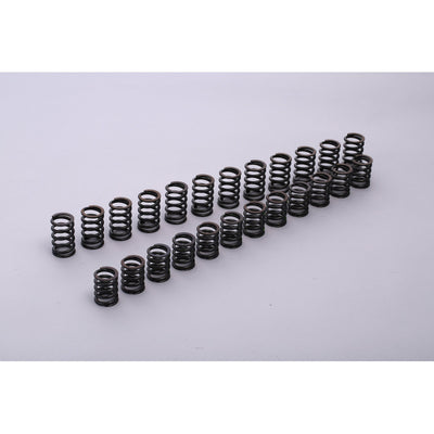 TOMEI VALVE SPRING R33 RB25DE(T) A-TYPE