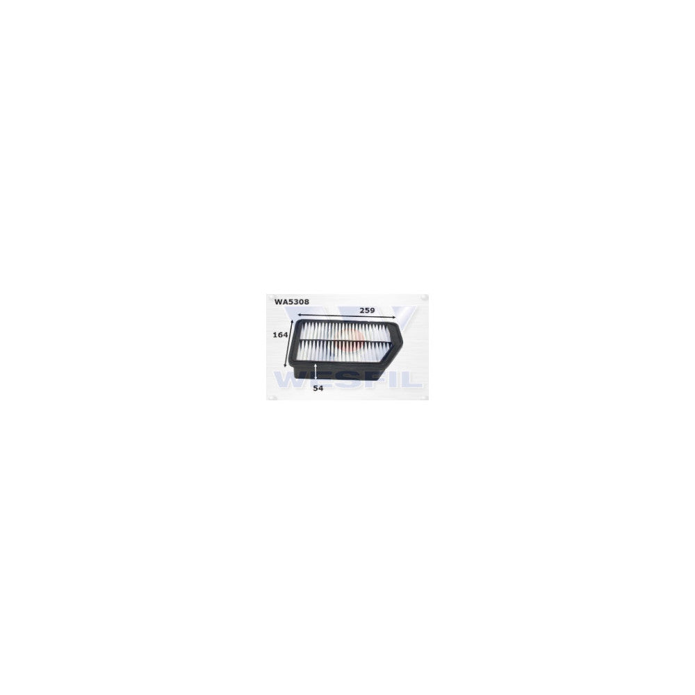 Wesfil AIR FILTER A1774 HYUNDAI - WA5308