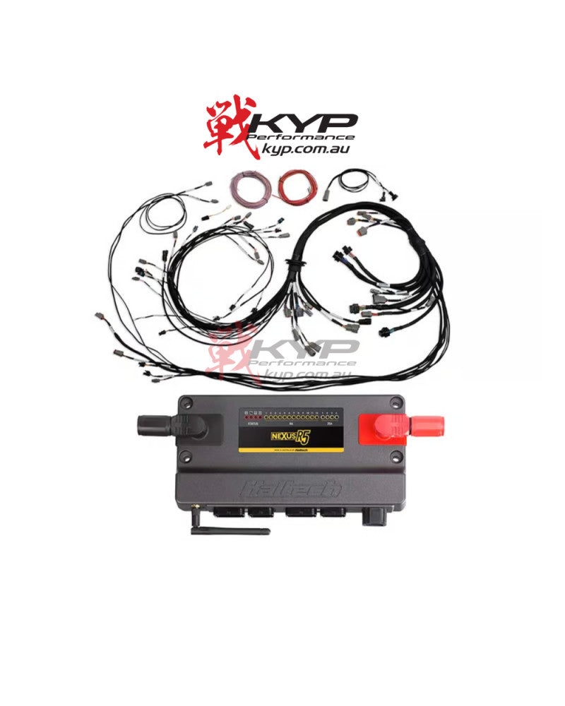 HALTECH Nexus R5 ECU + Universal V8 Terminated Harness - HT-195400