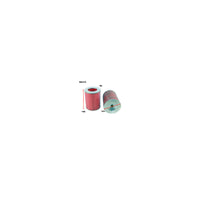 Wesfil WA310 - AIR FILTER A310 HOLDEN/TOYOTA - WA310