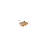 Wesfil AIR FILTER A1573 HOLDEN - WA5073