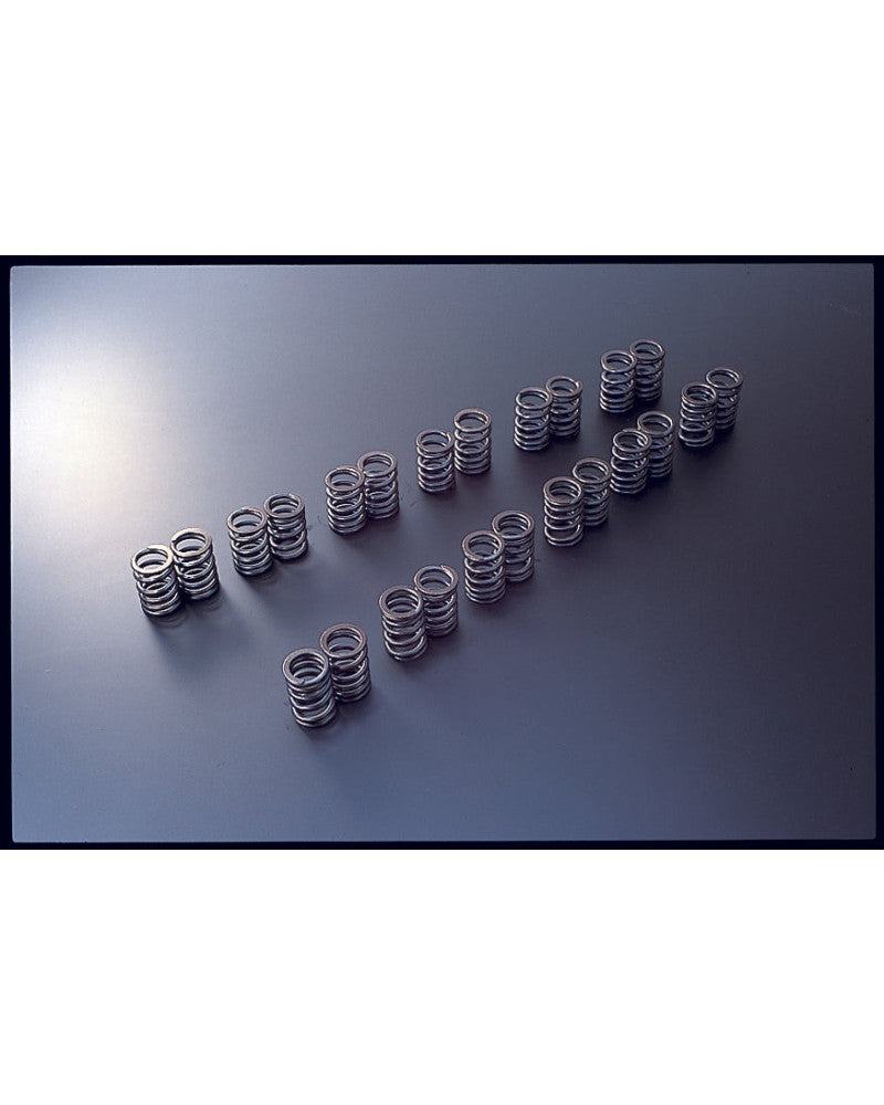 TOMEI VALVE SPRING RB20DE(T)/VG30DE(TT)