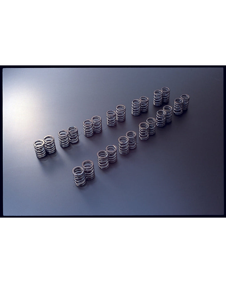 TOMEI VALVE SPRING RB20DE(T)/VG30DE(TT)