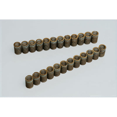 TOMEI VALVE SPRING 2JZ