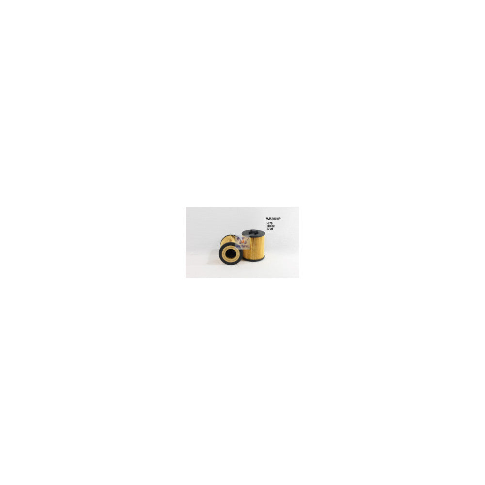 Wesfil OIL FILTER R2591P HOLDEN - WR2591P