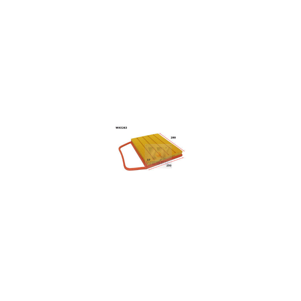 Wesfil AIR FILTER A1787 BMW - WA5263