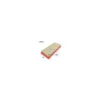 Wesfil AIR FILTER PROTON - WA5261
