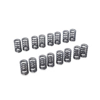 RSE VALVE SPRING 4G63