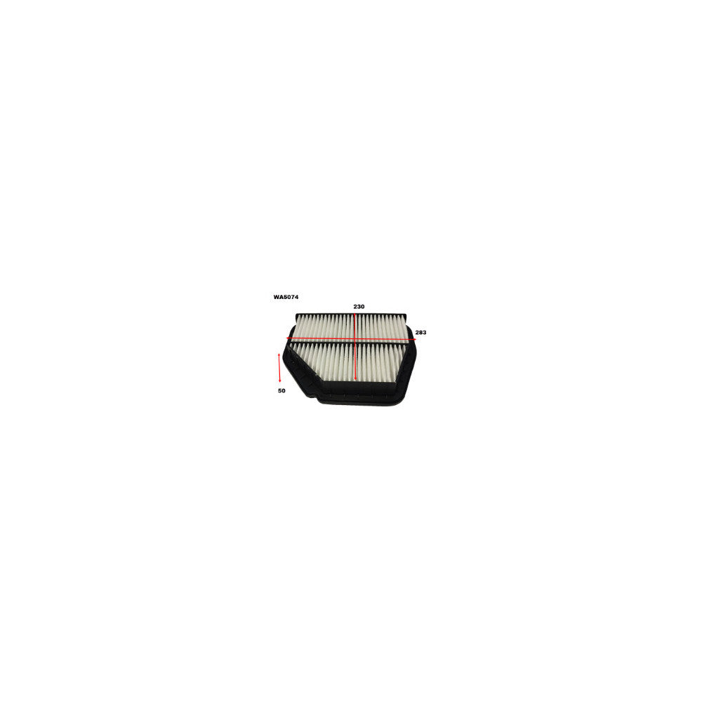 Wesfil AIR FILTER A1638 HOLDEN - WA5074