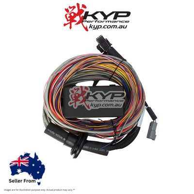 HALTECH Elite 750 Premium Universal Wire-in Harness - HT-140604